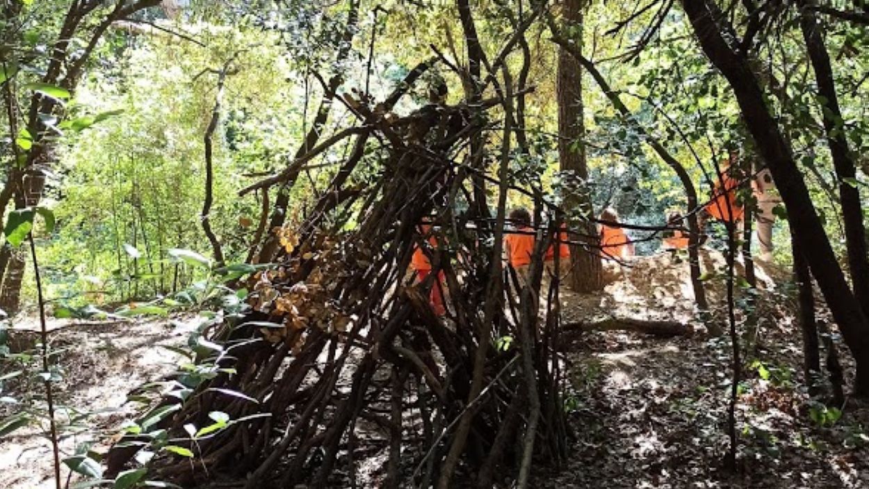 Hi ha centres d'educació activa a Sant Cugat?