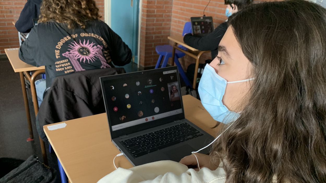 Sabíeu que els pingüins poden dormir de peu?