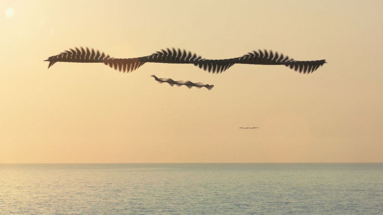 El festival Lumínic torna a Sant Cugat amb una edició dedicada a la fotografia contemporània