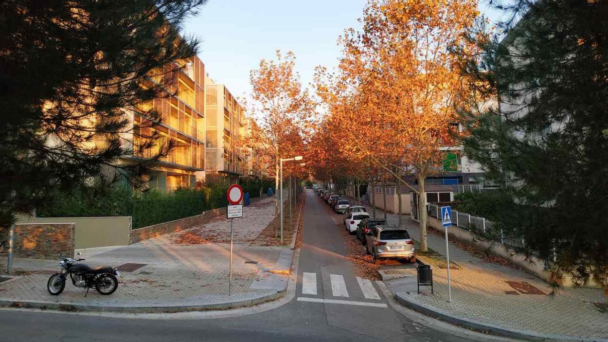 Carrer de Pere Ferrer