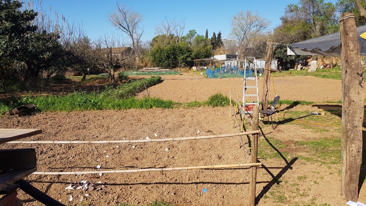 L'Ajuntament ordena desmantellar les construccions i tanques als horts ocupats de darrere de l'antic Leonardo