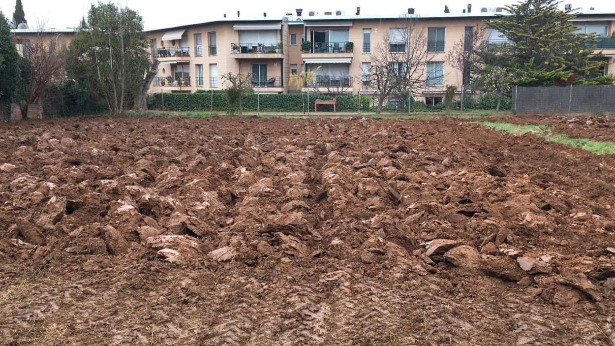 Recta final perquè els horts urbans i socials del carrer Andana siguin una realitat