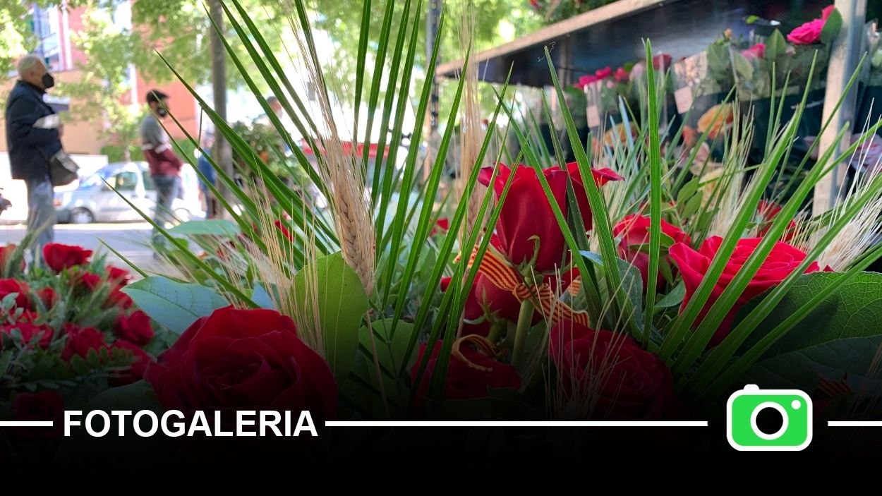 El Sant Jordi a Sant Cugat, a cop d'imatges