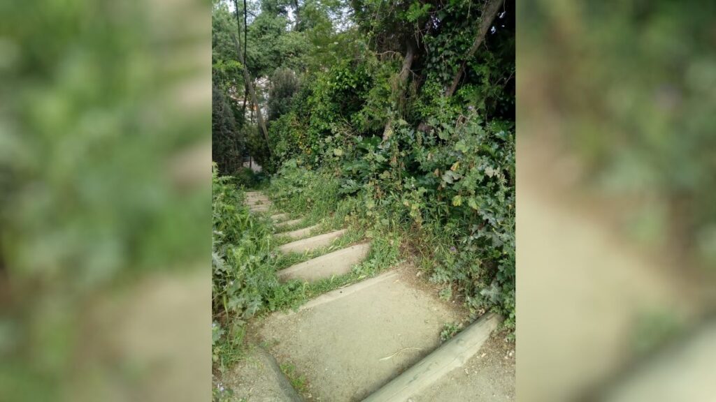 Alt: [Fotodenúncia] Les escales entre el passeig de la Floresta i el carrer de Bonavista