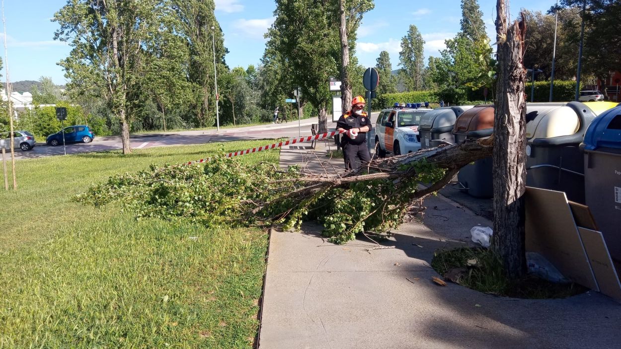 Activada la fase d'alerta del Pla de Protecció Civil per risc de vent
