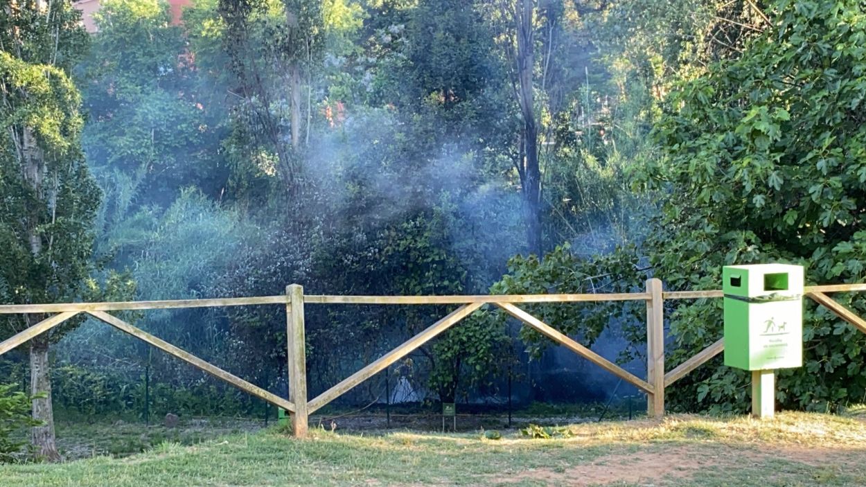 Extingit un petit incendi al parc de Can Vernet