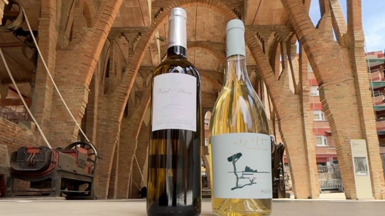 L'Empordà i els seus vins arriben a Sant Cugat en forma de màping interactiu