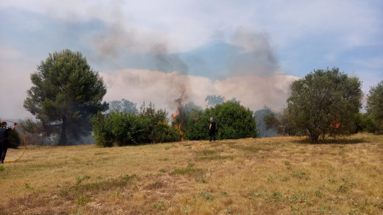 Extingit un petit incendi de vegetació al Turó de Can Mates