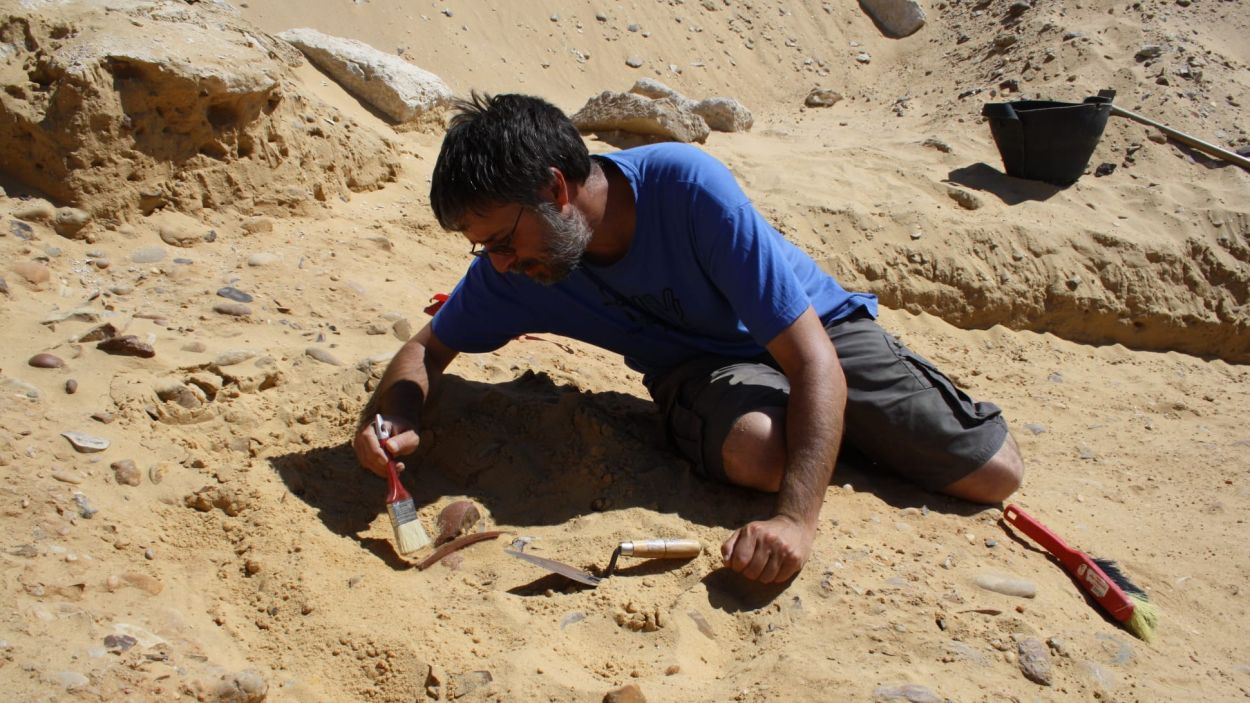 Marc Orriols (egiptòleg): 