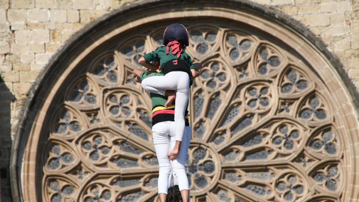 El reglament del Consell de Cultura es posa al dia