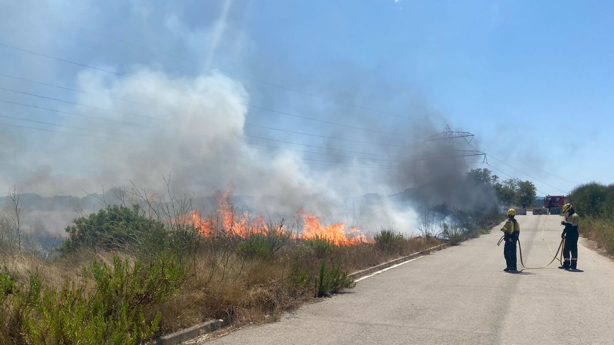 Cremen 2.000 metres quadrats de vegetació a prop de l'estany dels Alous