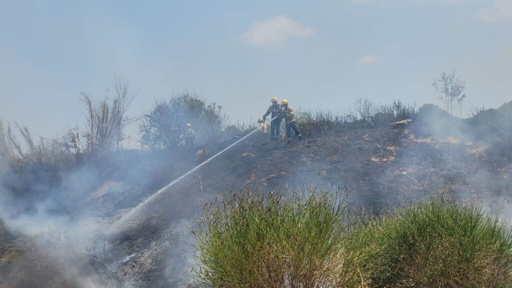 Alt: L'AMB invertirà 400.000 euros en un programa de prevenció d'incendis forestals a l'entorn metropolità