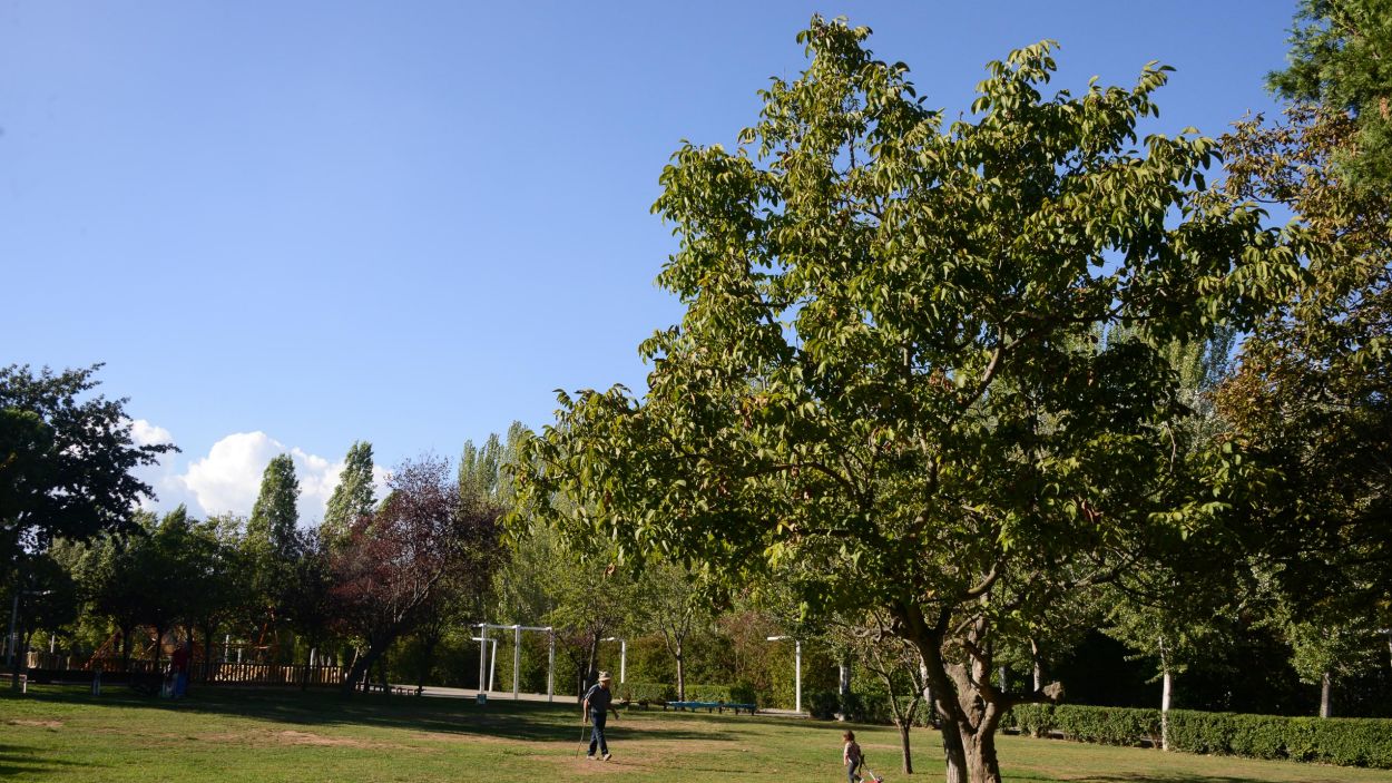 Quins són els millors parcs de Sant Cugat per jugar amb la canalla?