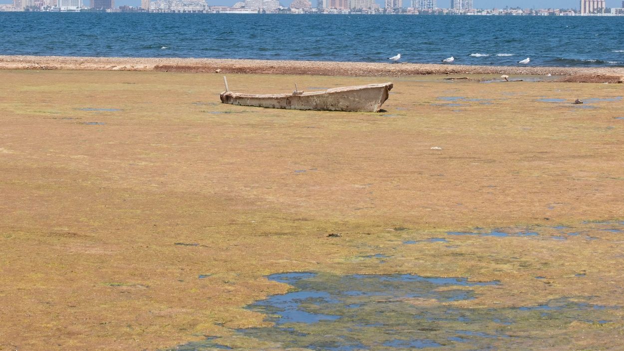 Recollida de signatures a Sant Cugat per protegir la Mar Menor