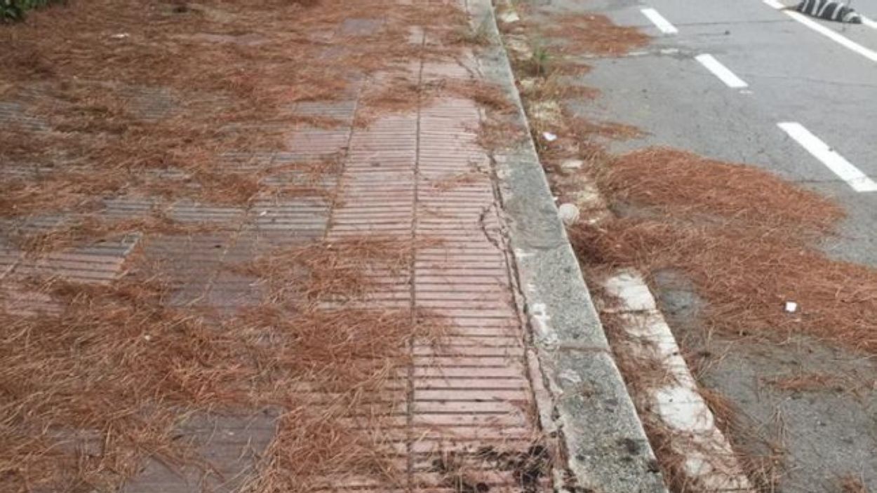 L'Ajuntament estudiarà si publica el calendari d'actuacions de manteniment de la ciutat