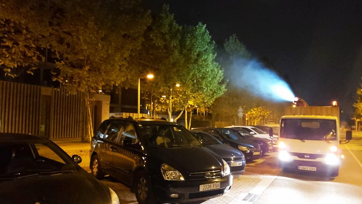 Actuació a l'arbrat de diversos punts de la ciutat per fer front a la proliferació d'insectes