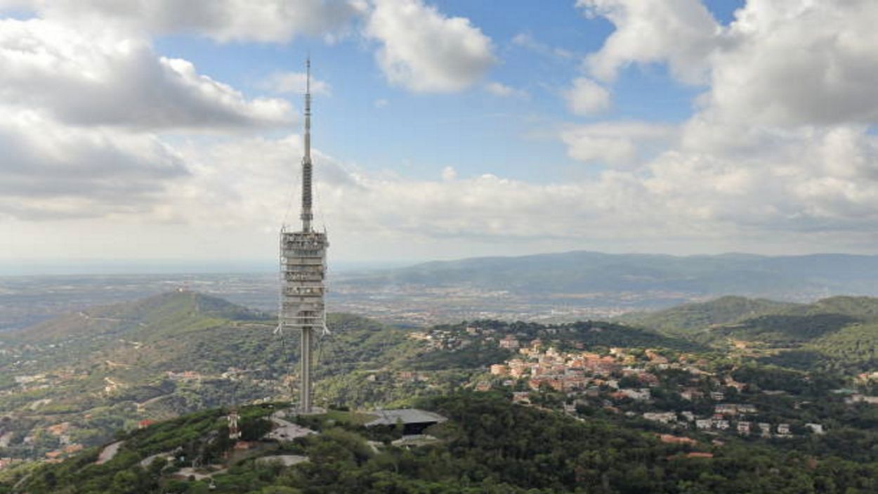 Collserola celebra el Dia dels Ocells amb un cap de setmana ple d'actes