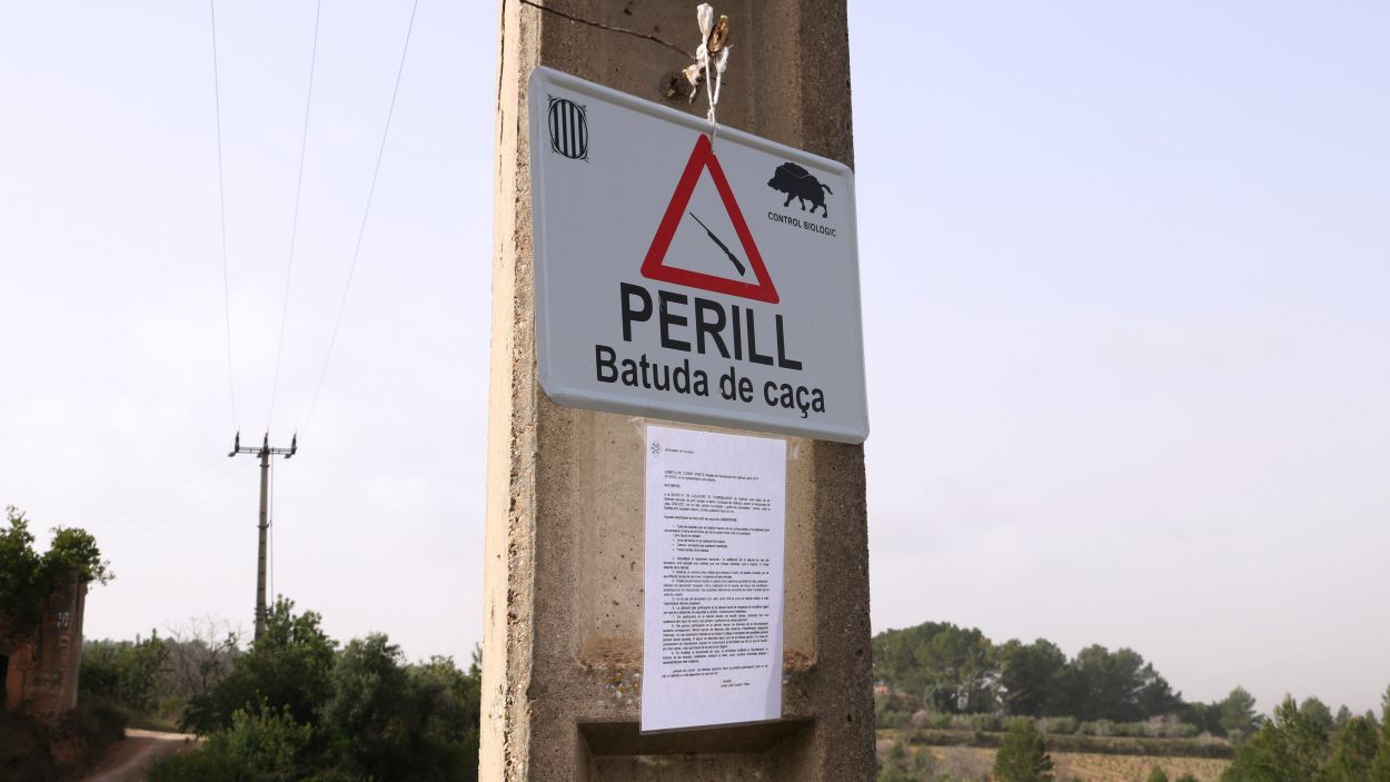 Comença la temporada de caça de senglars a Sant Cugat