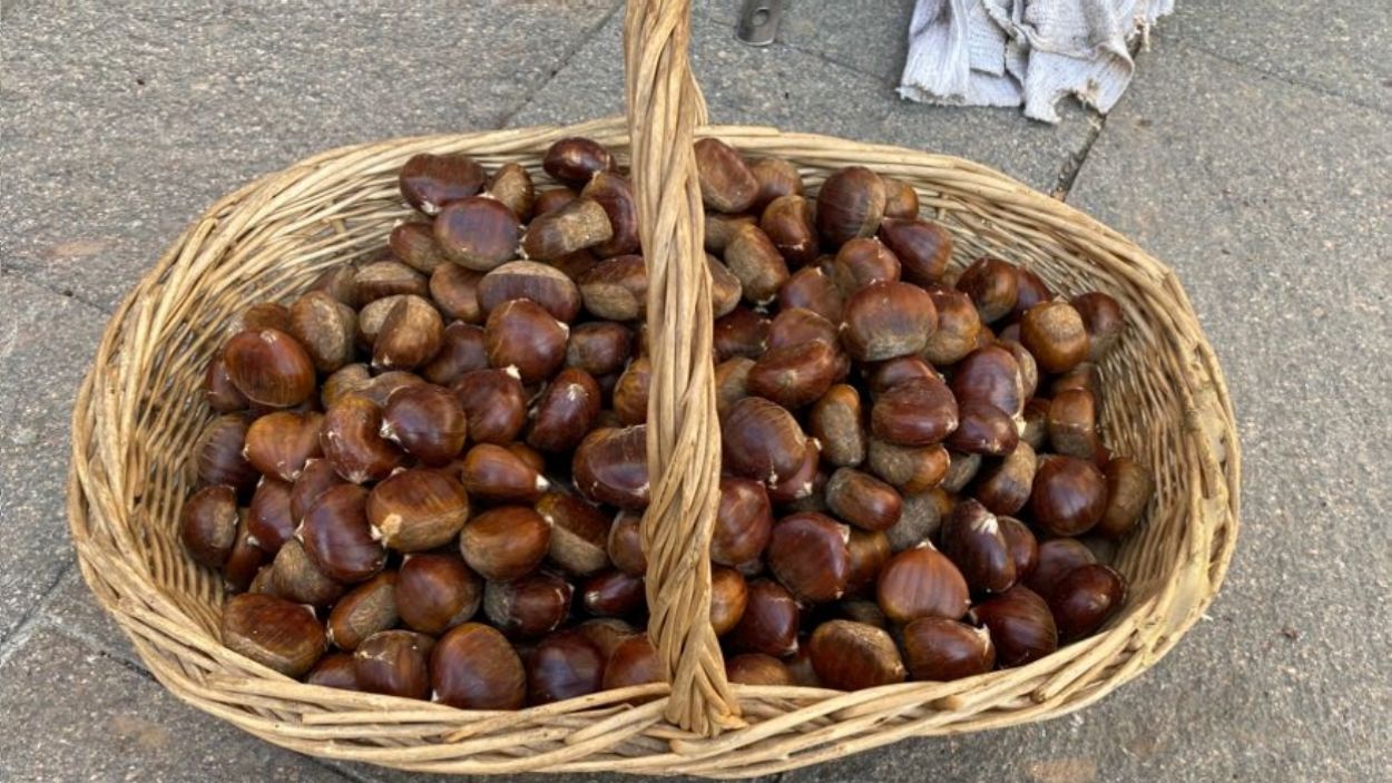 On hi ha les parades de castanyes i moniatos a Sant Cugat?