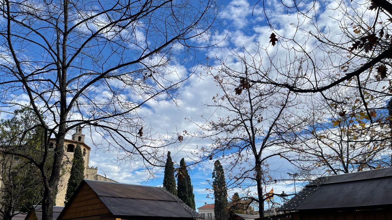 Activat el pla VENTCAT per la previsió de fort vent fins dilluns