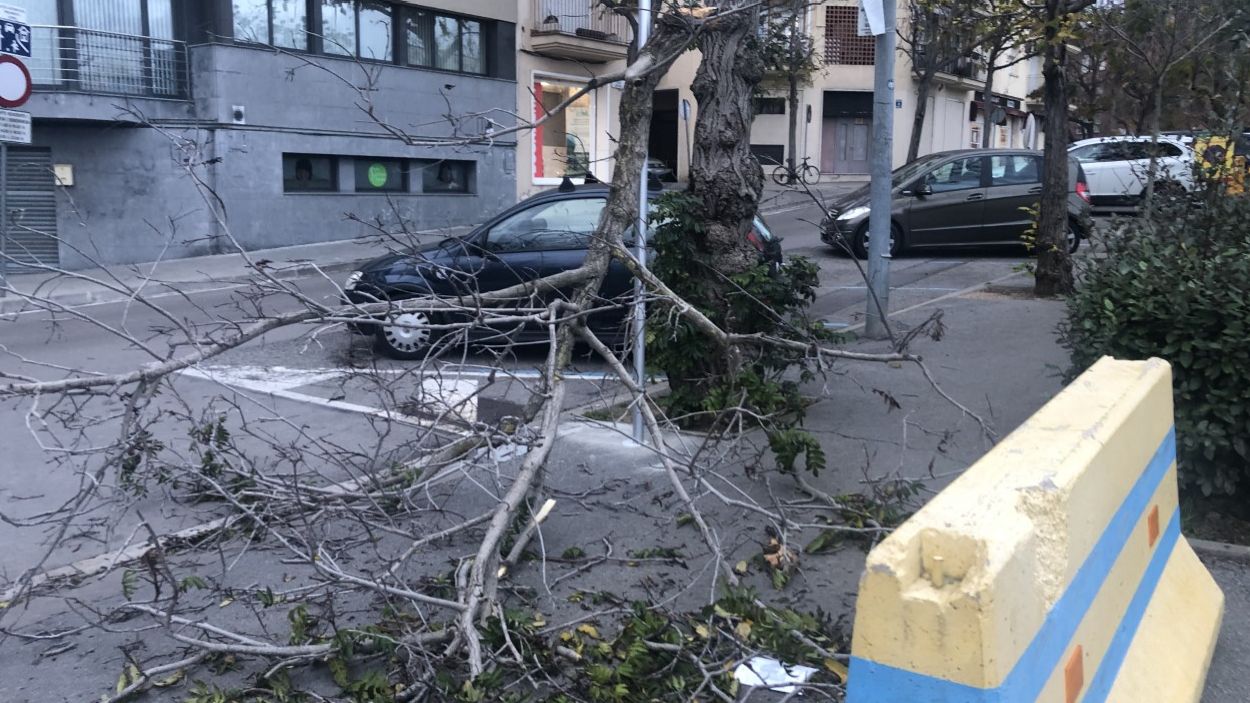 La ventada deixa una desena d'incidències a Sant Cugat