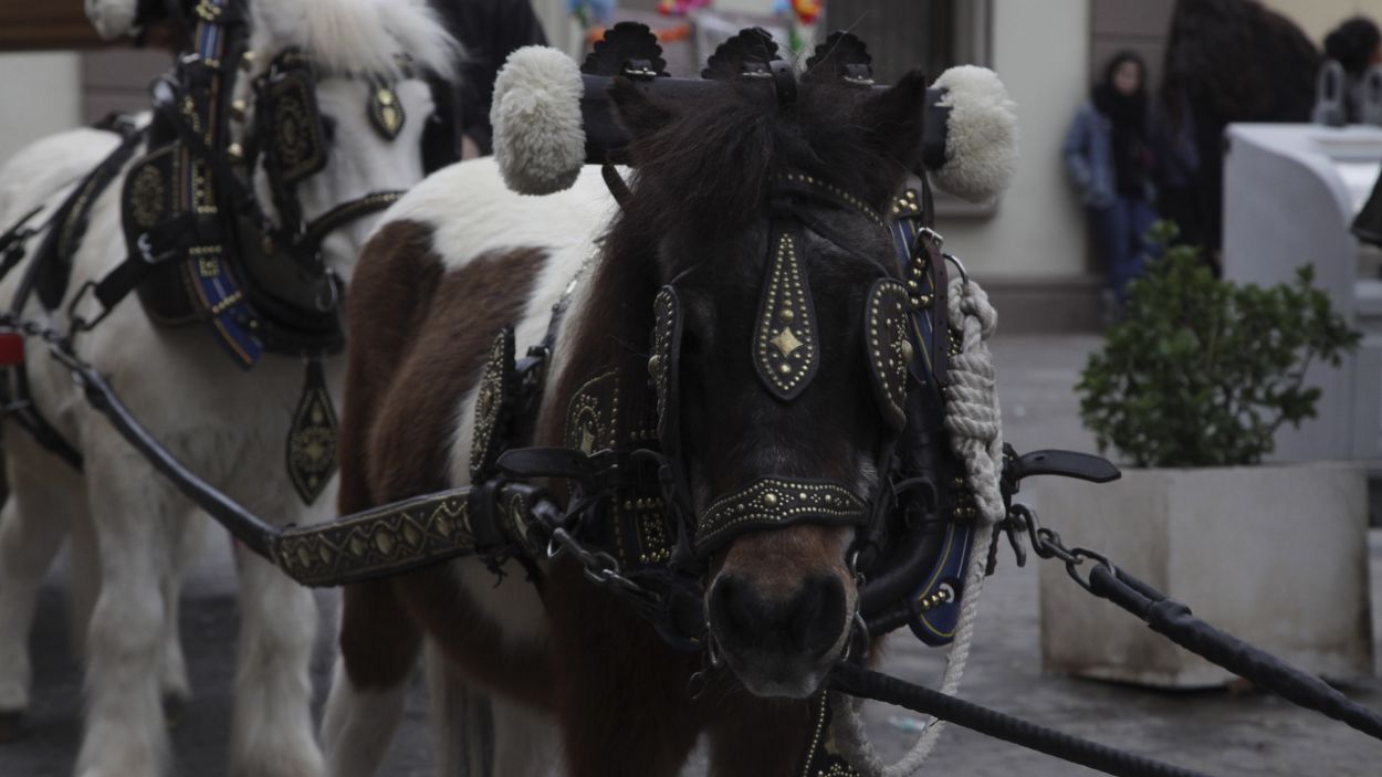 Consulta aquí el nou recorregut i els detalls de la rua dels Tres Tombs