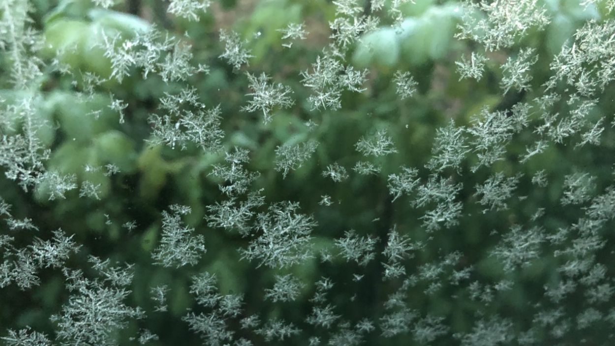 S'esperen gelades i baixes temperatures aquest dimecres a Sant Cugat