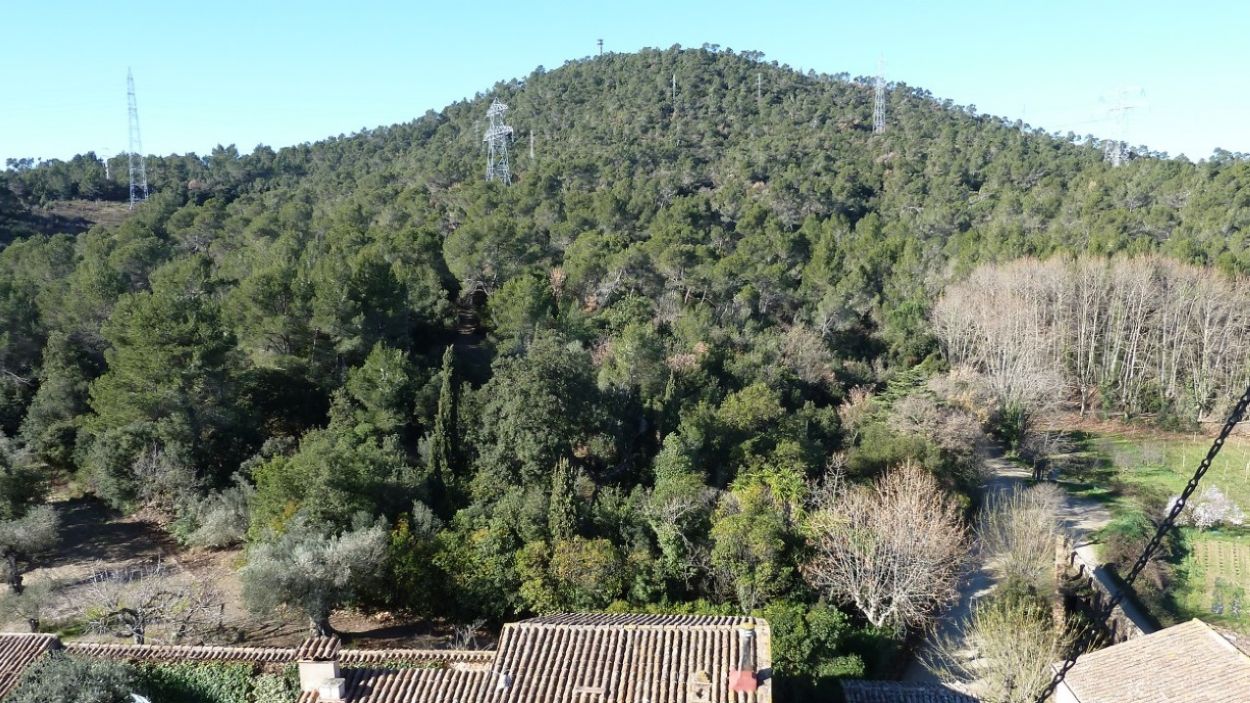 El Parc Natural de Collserola participa en el projecte LIFE CLIMARK