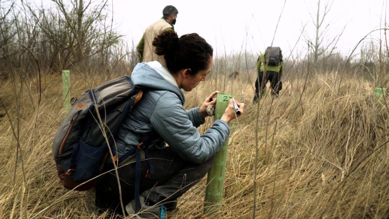 Boehringer rep un reconeixement per una acció de responsabilitat social mediambiental