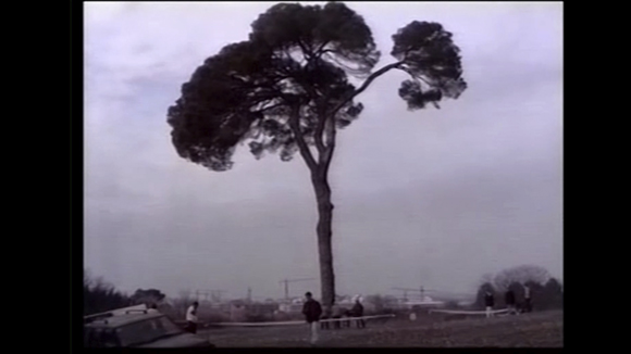 Pi d'en Xandri: 25 anys d'una manifestació històrica a Sant Cugat