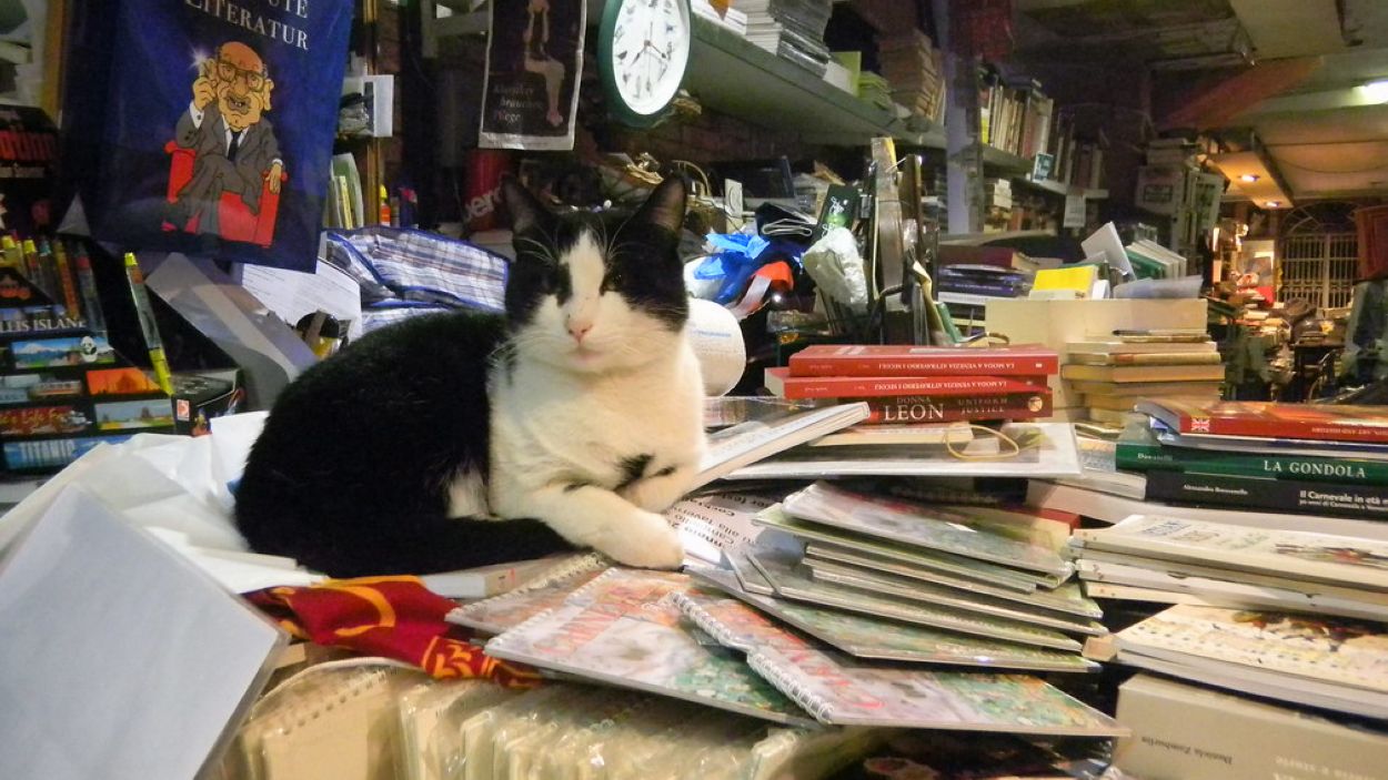 'L'anell al dit' d'aquest mes té ganes de gresca!