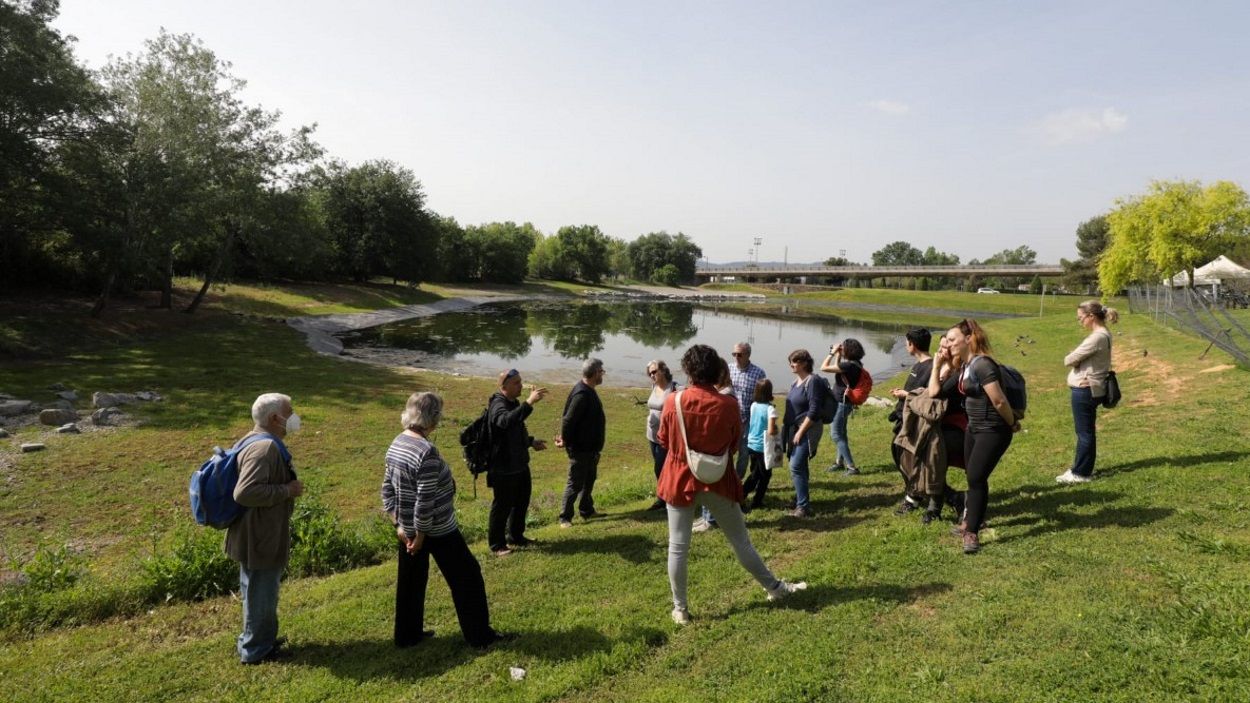 Quines espècies invasores hi ha a l'estanyol de la Guinardera?