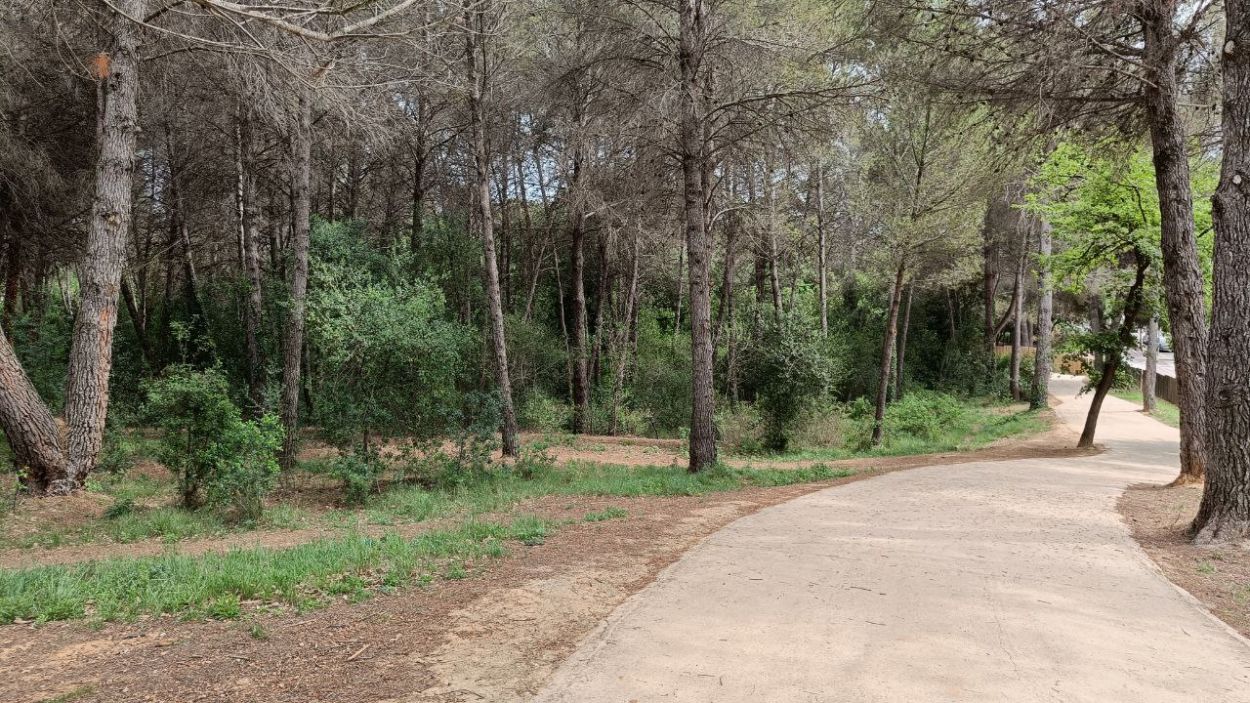 220504-bosc-volpelleres-2-a-cugat.jpg