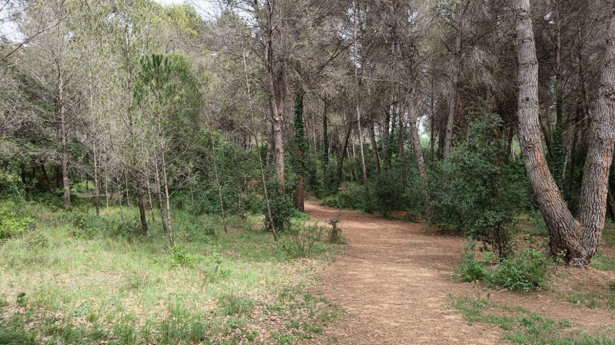Admès a tràmit el segon recurs de SOS Bosc Volpelleres i ADENC per aturar la construcció de La Mirada