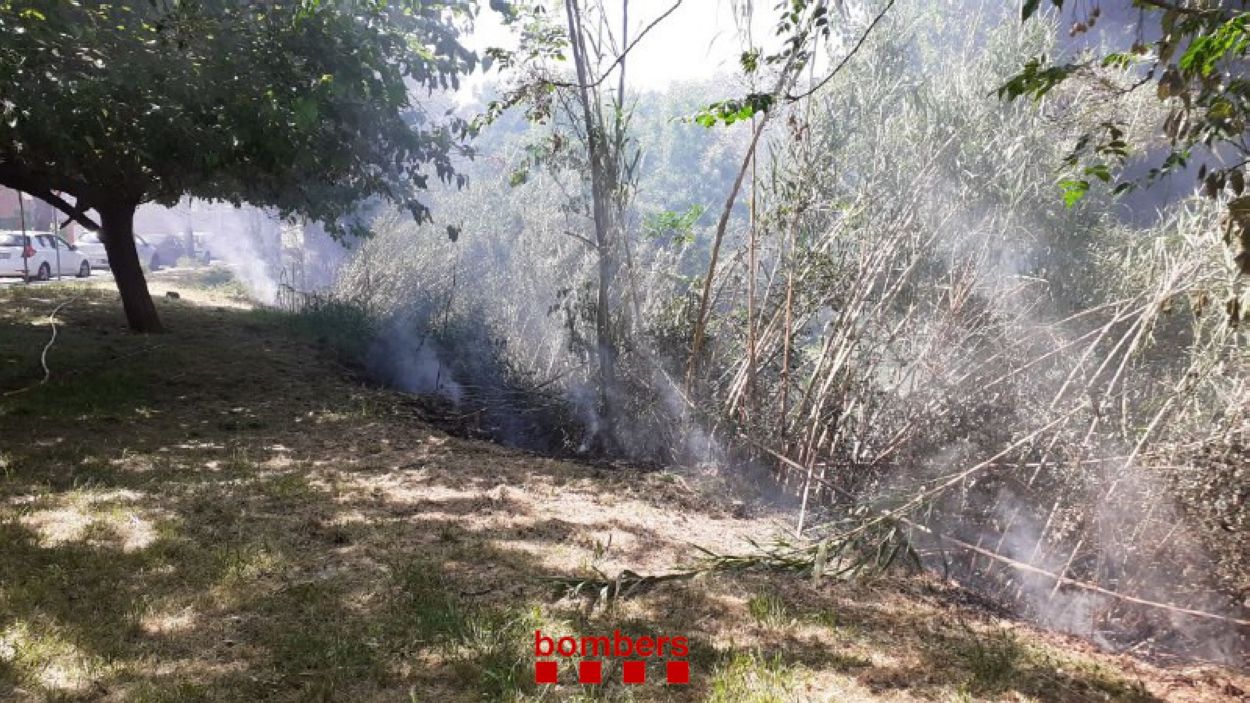 Cremen 300 metres quadrats de canya i borrissol a tocar de la comissaria dels Mossos de Sant Cugat