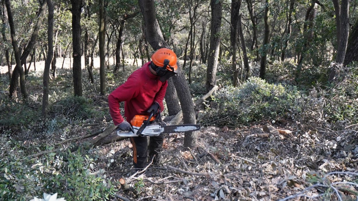 Oberta la convocatòria per sol·licitar els ajuts del Contracte Agrari de Collserola