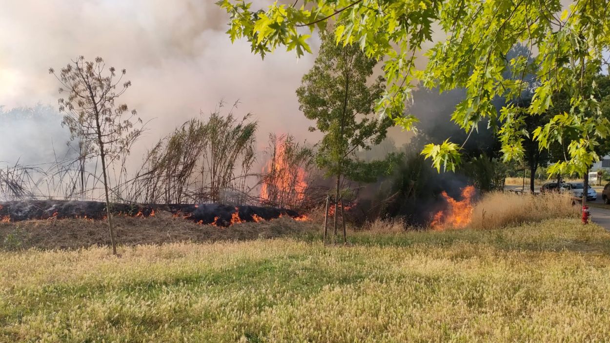 Un ferit lleu per un incendi de matolls ocasionat per un petard