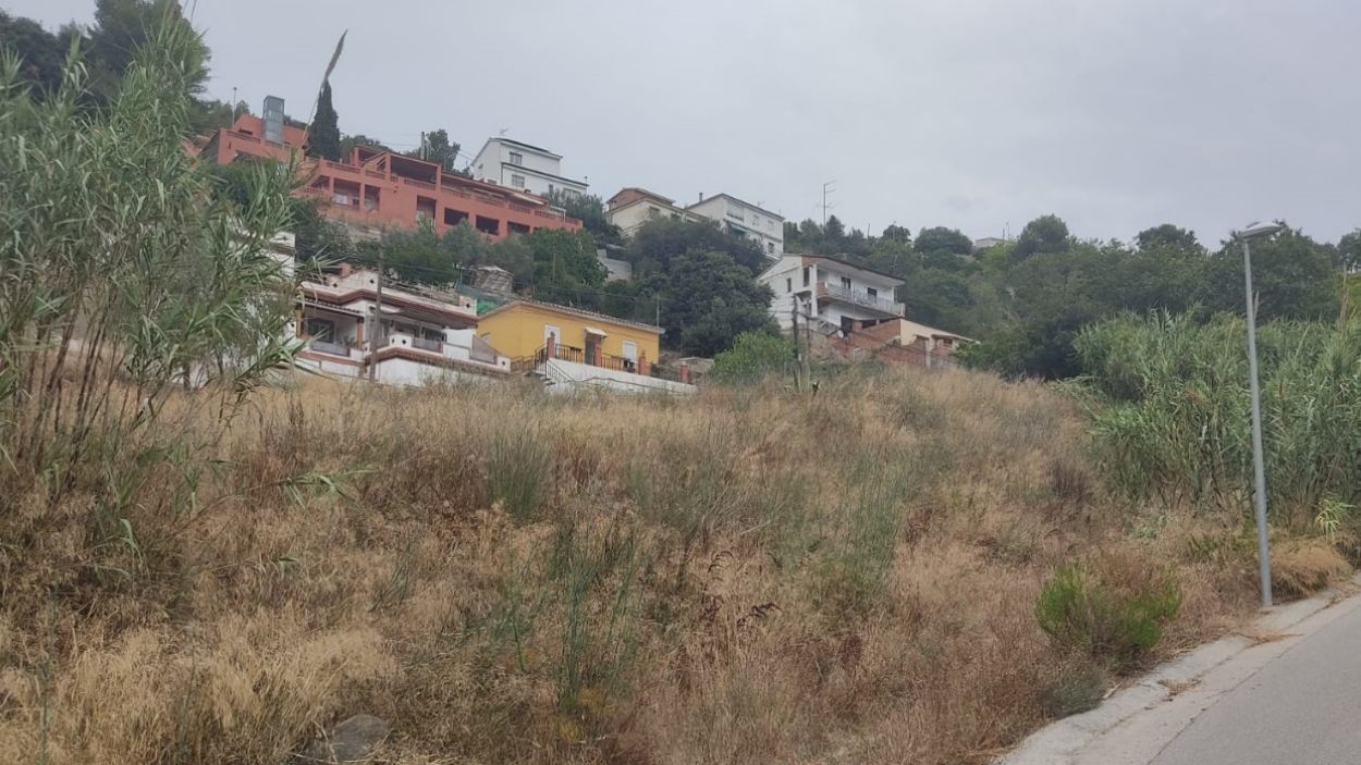 El risc d'incendis i els porcs senglars, els principals problemes de les Planes segons la nova junta de l'APV