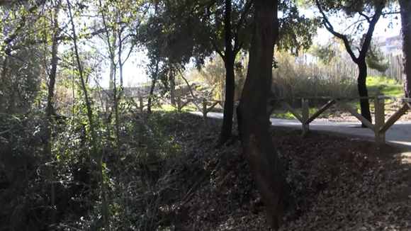 Ingla torna a defensar la construcció de l'escola la Mirada al parc del Bosc de Volpelleres