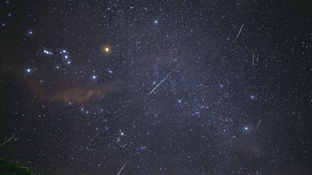 Arriben els millors dies per veure les Llàgrimes de Sant Llorenç