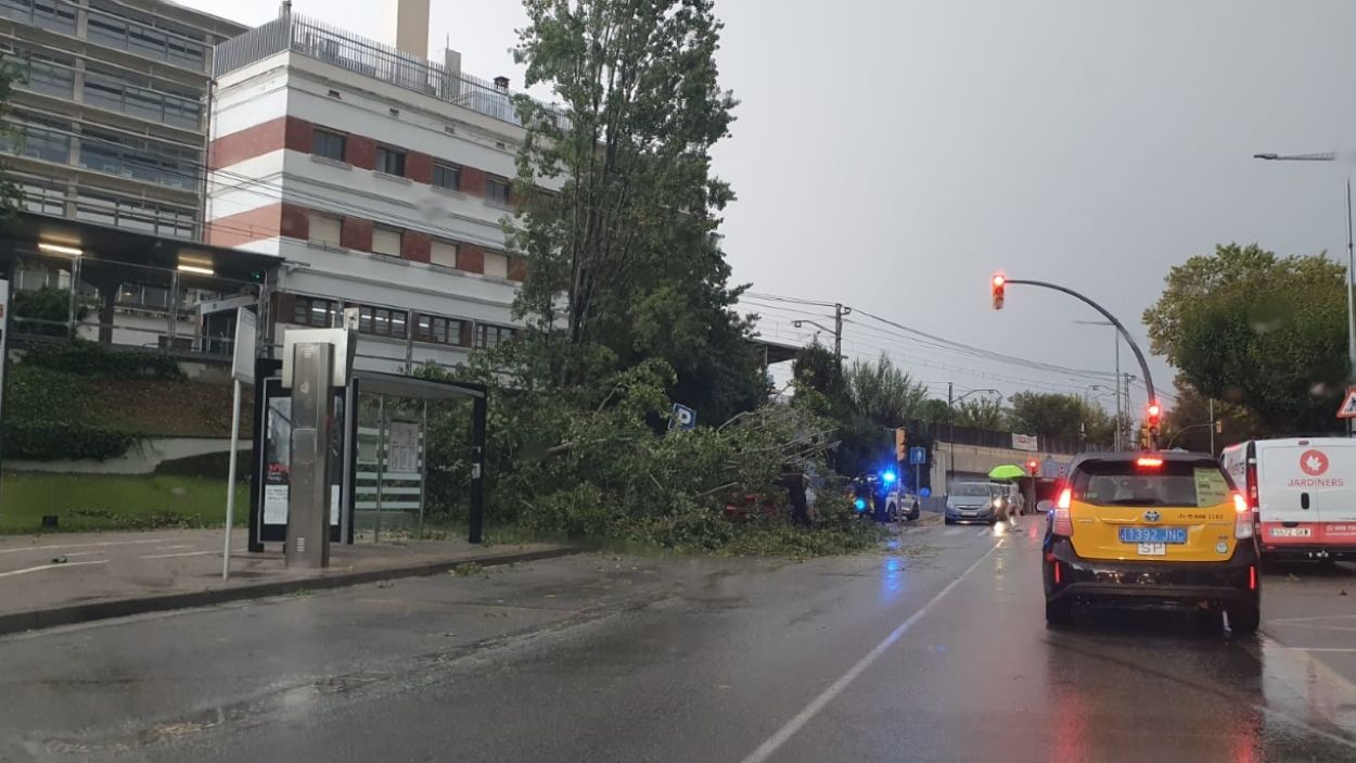 Els ruixats tornen a descarregar amb força i deixen una cinquantena d'arbres caiguts i diverses incidències