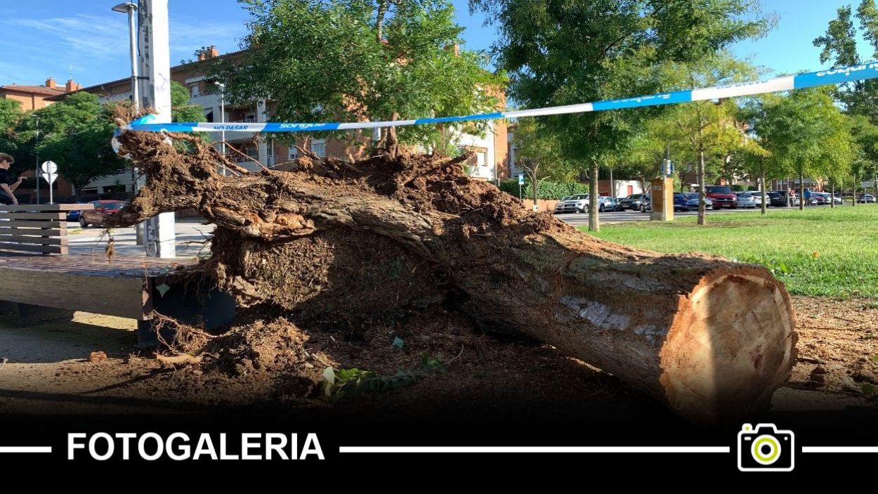Les conseqüències del temporal de pluja i vent d'aquest dimecres a Sant Cugat, en imatges