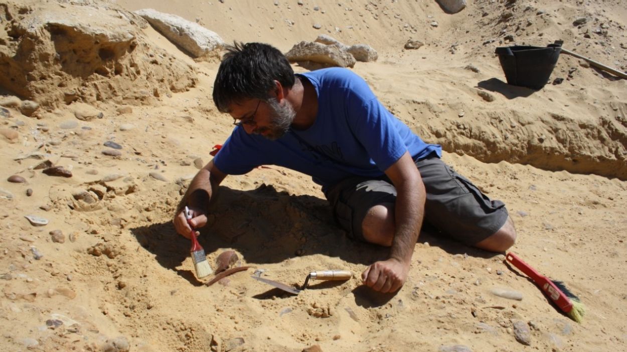 Marc Orriols (egiptòleg): 