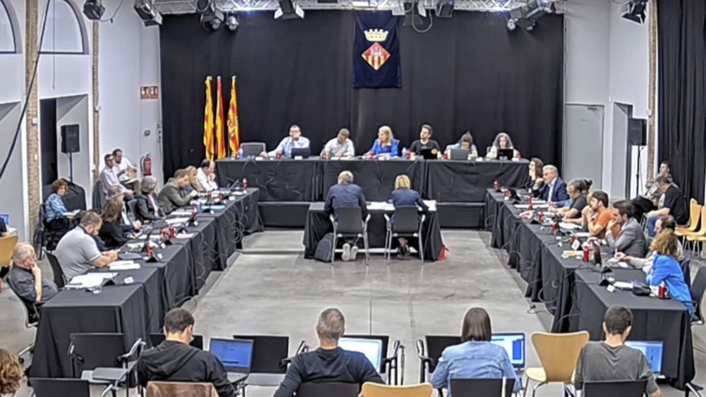 Ple ordinari d'octubre de 2022