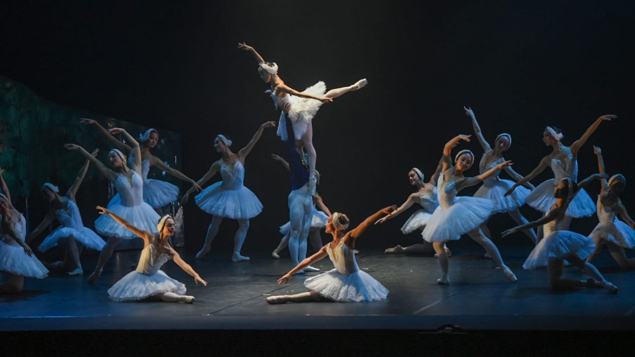 La bellesa i l'amor dels cignes envaeixen el Teatre-Auditori