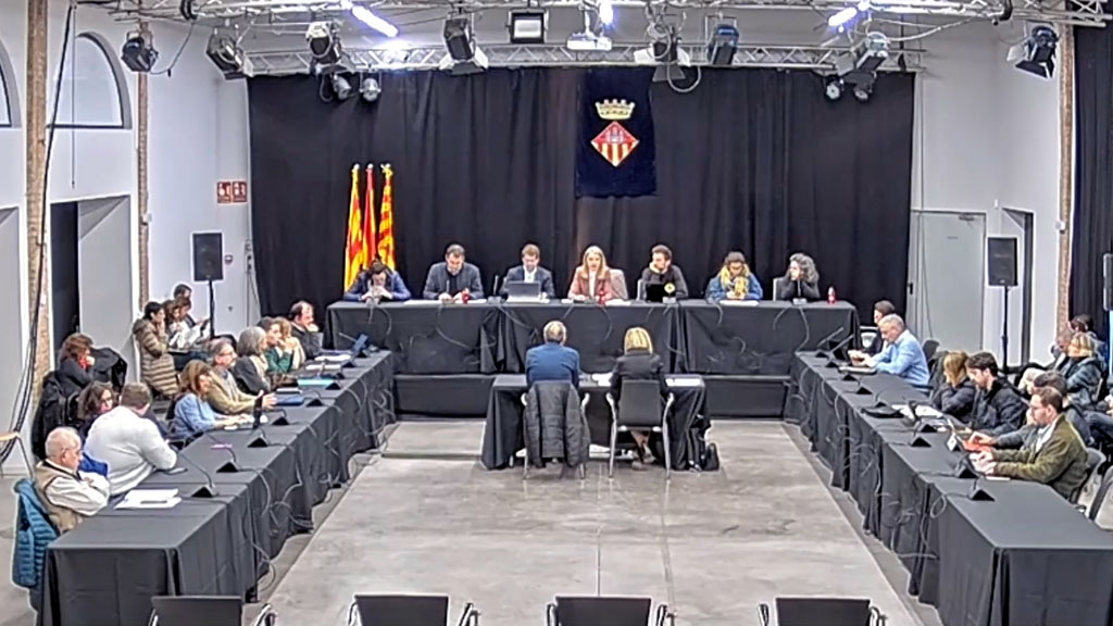 Ple extraordinari de 2 de desembre de 2022