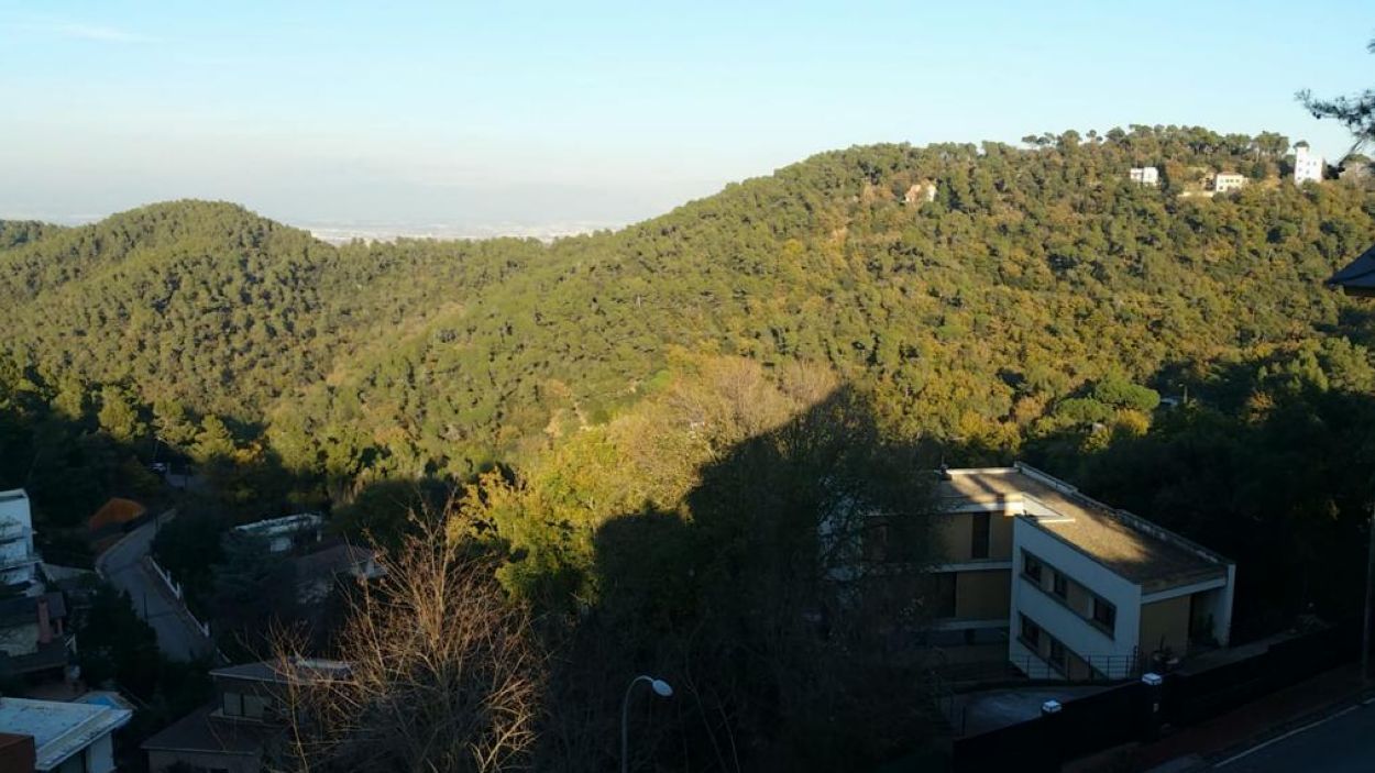 El sector B de Can Cortés seguirà sent un bosc i l'Ajuntament no haurà de pagar cap indemnització