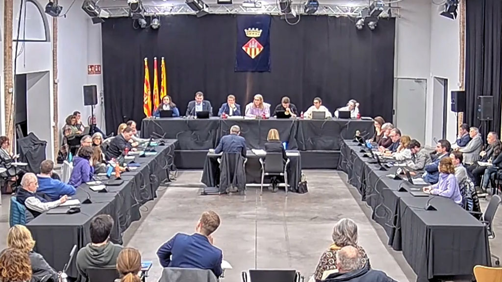 Ple ordinari de gener de 2023