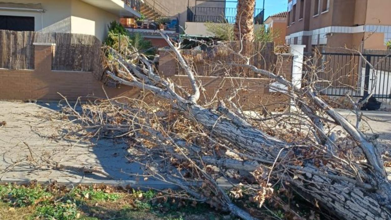Una vintena d'afectacions a Sant Cugat a causa de la ventada