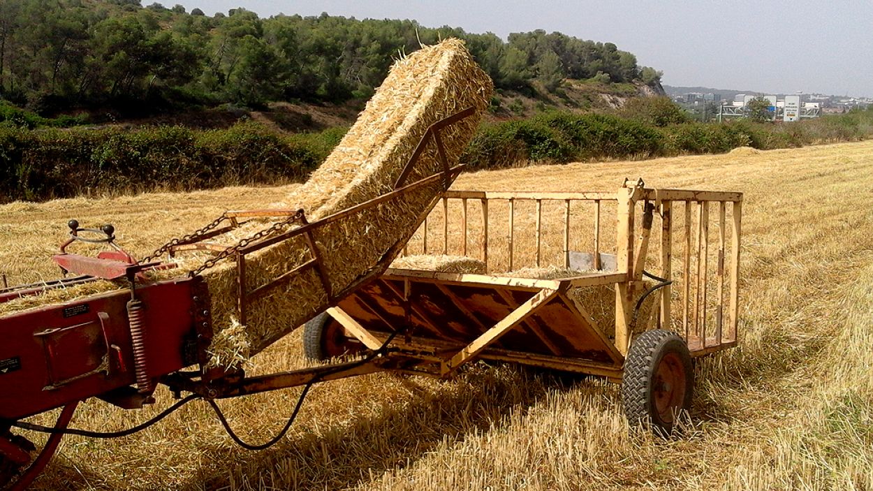 La pagesia de Sant Cugat, més preocupada per la sequera que per les restriccions